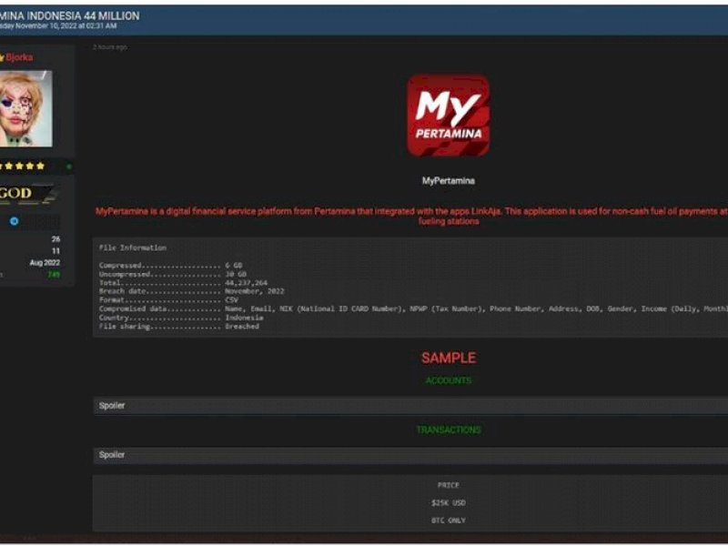 Tangkapan layar Bjorka mengklaim telah meretas 44 juta data MyPertamina. (DOK. Twitter @secgron)