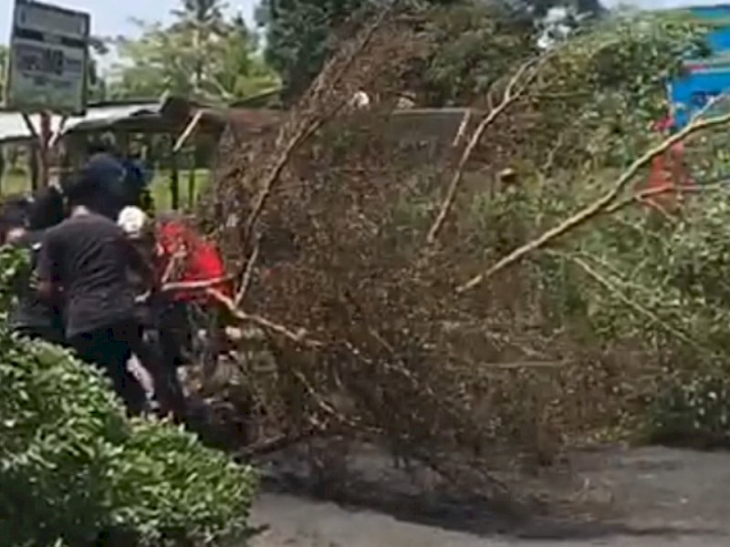 Massa yang menolak P2KD Takalar kembali turun aksi dengan memblokade jalan utama Galesong Utara, poros Takalar-Makassar, Ahad (13/11/2022) siang.