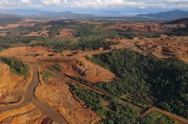 Sulawesi Sudah Lampaui Batas Ekologis, Tapi 277 Izin Tambang Baru Terbit di Wilayah Kritis