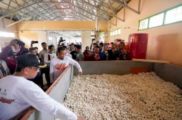 UPTD Pengelolaan Sutera Wajo Diresmikan Gubernur, Pelaku Usaha Optimis Kejayaan Industri Persuteraan Bangkit
