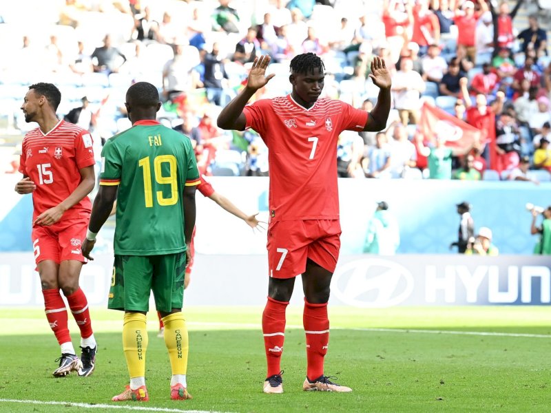 Swiss vs Kamerun(Foto: Fakta Sepakbola)