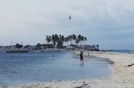 Harus Ada Kebijakan Tepat Jelang Masa Liburan Natal dan Tahun Baru