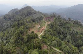 Walhi Sulsel Desak Penyidik Kasus Hutan Pongtorra Profesional dan Transparan&nbsp;