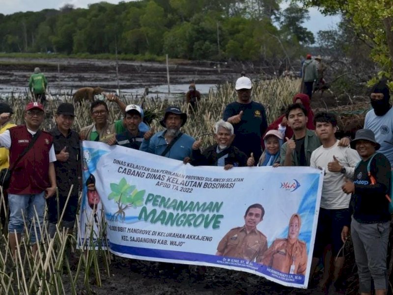 Penanaman Mangrove di Kabupaten Wajo, Sulawesi Selatan. (Dok. Pemprov Sulsel)