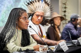 CBD COP15, Masyarakat Adat Papua Desak Komitmen Pemerintah Selamatkan Hutan