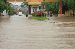 Ribuan Bencana Terjadi Selama 2022, Tahun 2023 Antisipasi Karhutla