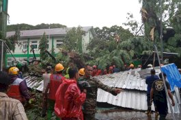 4 Korban Tertimpa Pohon, Saksi Mata: Pohon Tumbang Usai Hujan Deras&nbsp;