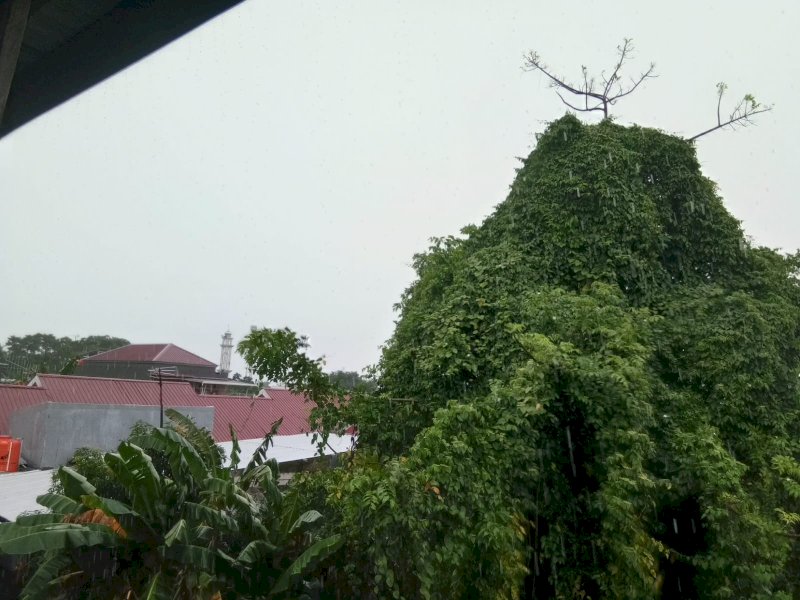 Pantauan cuaca di Kecamatan Tamalanrea, Kota Makassar, Sulsel, Sabtu (24/12/22) pukul 09.10 Wita. Hujan lebat disertai angin kencang mewarnai wilayah barat Tamalanrea ini.