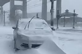 Dingin! Hingga Warga Tewas Membeku dalam Kendaraan, Sudah 55 Meninggal akibat Badai Salju Amerika