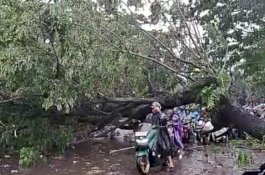 Mitigasi Dampak Cuaca Ekstrem, Pemprov Sulsel Minta BNPB Gunakan Teknologi Modifikasi Cuaca&nbsp;