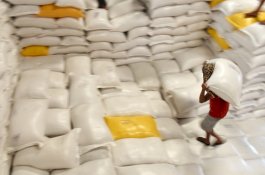 Produksi Beras Sulsel Urutan Keempat di Indonesia