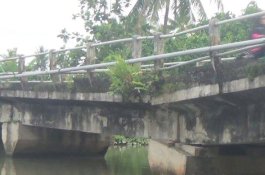 Jembatan Bila Nyaris Ambruk, Warga Batulappa Desak Bupati Pinrang Bertindak Cepat