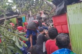 Kakek 80 Tahun Tertimpa Pohon Tumbang