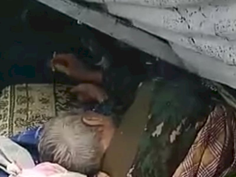 Korban pohon tumbang di Lembo, Tallo, kota Makassar, Sulsel, Rabu (4/1/2023). (foto: tangkapan layar).