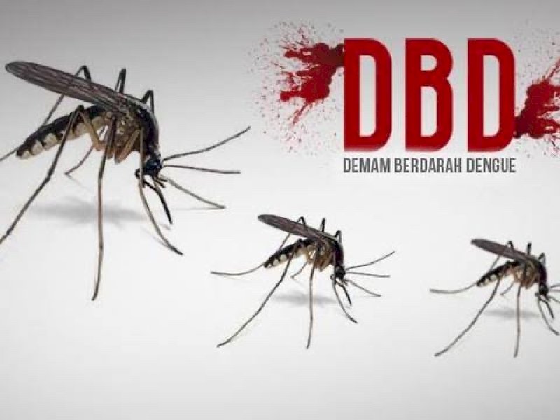 Masyarakat tetap waspada dan menjaga kebersihan lingkungan agar terhindar dari serangan penyakit demam berdarah dengue (DBD). @Jejakfakta/Ilustrasi