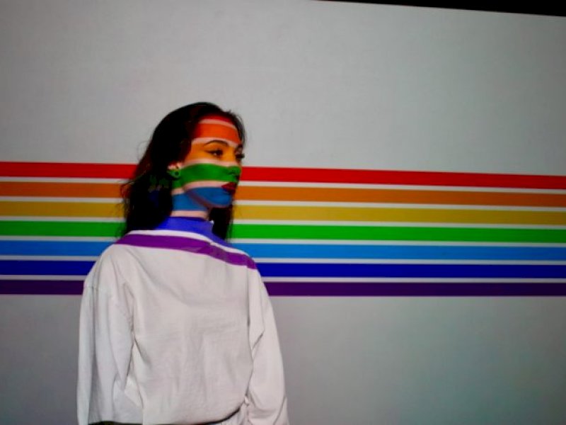 Ilustrasi LGBT (Dok. Theboar.org)