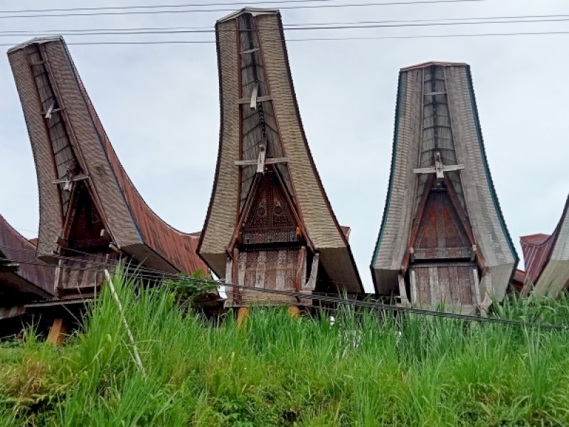 Toraja merupakan salah satu destinasi wisata paling banyak dikunjungi di Sulawesi Selatan. (Dok. Jejakfakta.com)