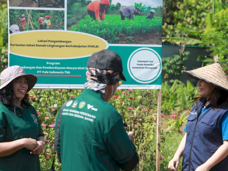 Koordinator Kelompok Tani Padoe Momoiko, Ameria Sinta sedang berbincang bersama CEO PT Vale Febriany Eddy, disela-sela panen kebun organik, 16 September 2022 lalu. (Dok. PT Vale Indonesia Tbk)