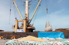 Sulsel Ekspor Jagung 6.150 Ton Senilai Rp40 M ke Filipina 