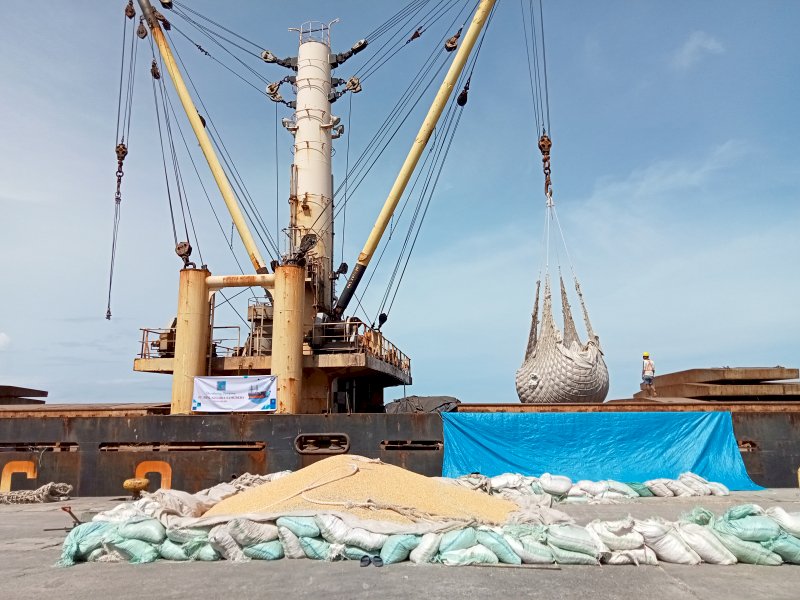 Proses pengangkutan jagung masuk ke dalam kapal. Jagung itu akan diekspor ke Filipina, Rabu (11/1) di Pelabuhan Makassar. (Foto-foto: Jejakfakta.com)