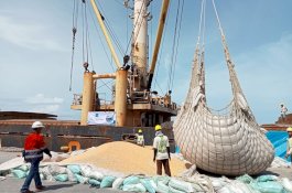 Danny Tolak Rel KA Model At Grade, Sulsel Ekspor 6.150 Ton Jagung serta Tersangka Ingin Jual Organ Tubuh