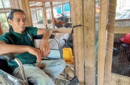 Penyandang Difabel Fisik Ini Berhasil Kembangkan Bisnis Ayam Organik 