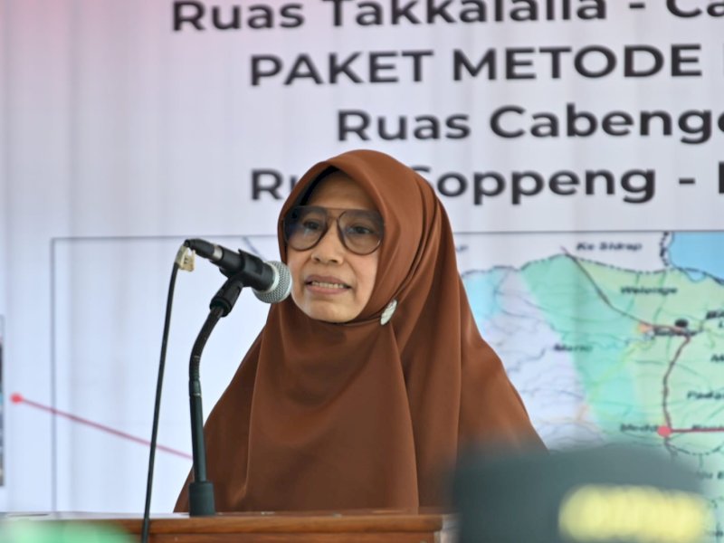 Astina Abbas, Kepala Dinas Pekerjaan Umum dan Tata Ruang (PUTR) Sulsel. @Jejakfakta/Ist.