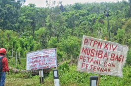 Imbas Penggusuran Paksa, Komnas HAM Turun Tangan! AMPU Minta Kembalikan Lahan Garapan Petani