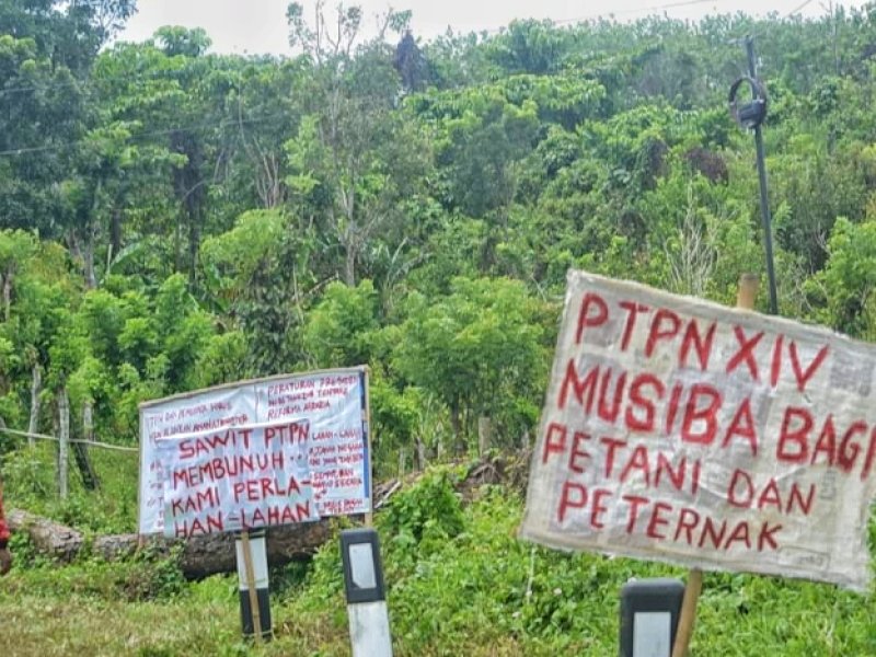 Penggusuran lahan petani pembukaan lahan sawit oleh PTPN XIV. @Jejakfakta/Ilustrasi
