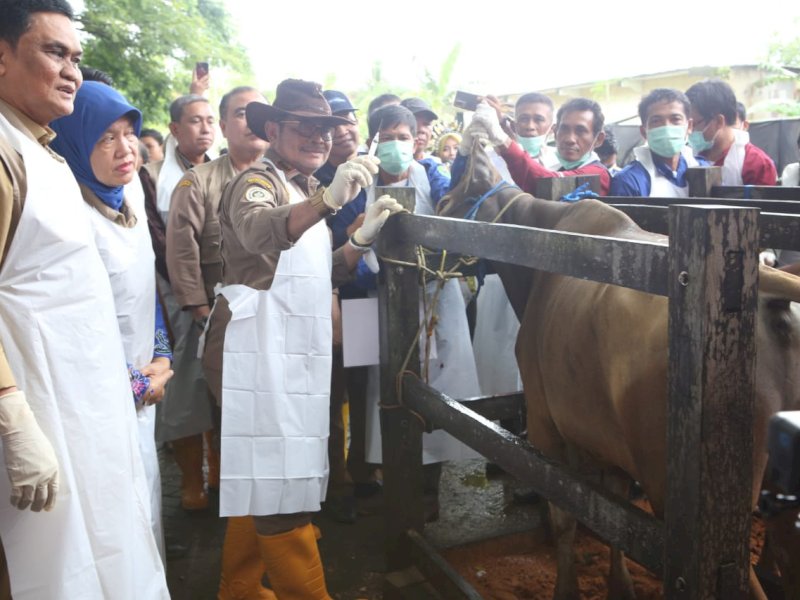 Mentan SYL Kick Off Pengendalian dan Penanggulang PMK nasional 2023 di Kabupaten Barru, Sulsel, Sabtu (28/1/2023).&nbsp;@Jejakfakta/Dok. Kementan