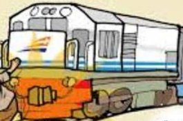 Baru Beroperasi Terbatas, Kereta Api Trans Sulawesi Sudah Telan Korban Jiwa