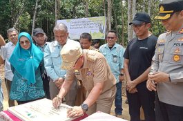 Bupati Lutim Apresiasi PT Vale Bangun Ruang Terbuka Hijau Luwu Timur