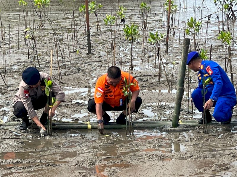 Penanaman bibit pohon mangrove di pesisir Untia, Makassar. @Jejakfakta/dok. Basarnas Sulsel