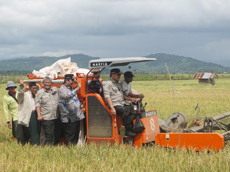 Irjen Kementan Jan S Maringka memantau secara langsung panen raya di Kelurahan Taroada, Kecamatan Turikale, Kabupaten Maros, Sulawesi Selatan, Minggu (5/3/2023) kemarin. @Jejakfakta/dok. Kementan.