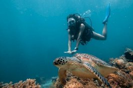 Pasangan Bulan Madu Ditinggalkan Terkatung-katung di Laut saat Snorkeling di Hawaii