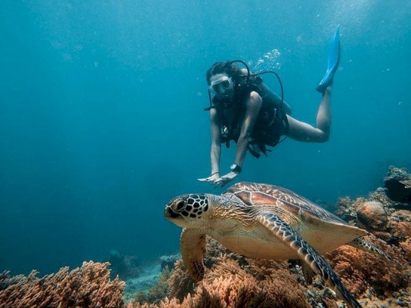 Ilustrasi snorkeling. Foto: @scubadivingyard