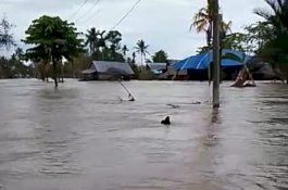 Banjir Terjang 2 Kecamatan Luwu Utara, 48 Rumah Rusak, Warga: Kami Sudah Bosan
