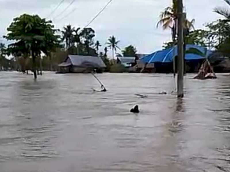 Banjir dengan ketinggian air 50 sentimeter hingga satu meter menerjang tiga desa di Kecamatan Malangke Barat dan Kecamatan Baebunta Selatan, Kabupaten Luwu Utara, Sulawesi Selatan. Foto ini diabadikan warga di Malangke Barat, Senin (13/3/2023). [ctz/jejakfakta]