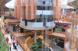 Perkumpulan Dosen Indonesia Semesta DPD Sulsel Hadir, Pelantikan di Nipah Mall