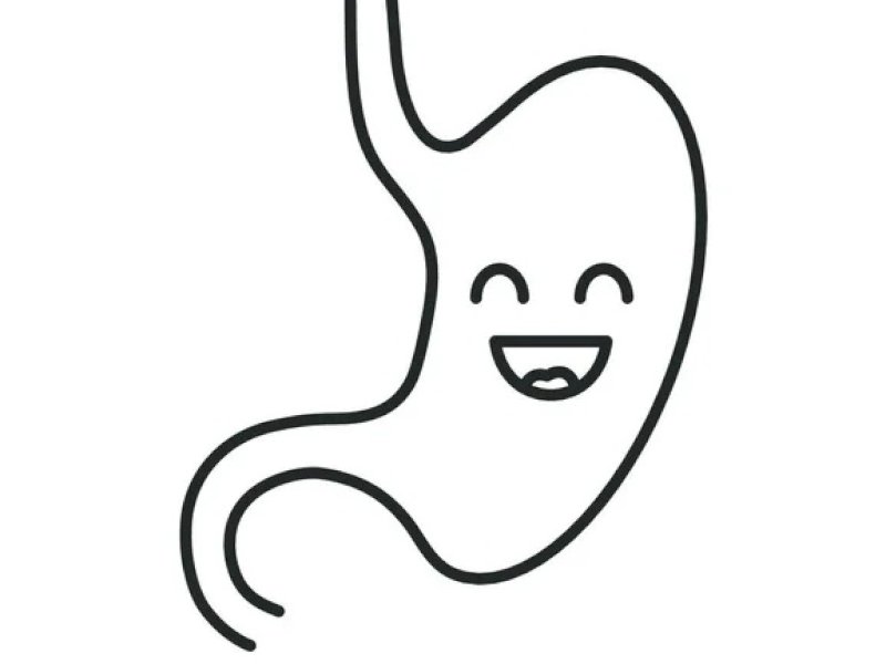 ilustrasi lambung sehat. (Google).
