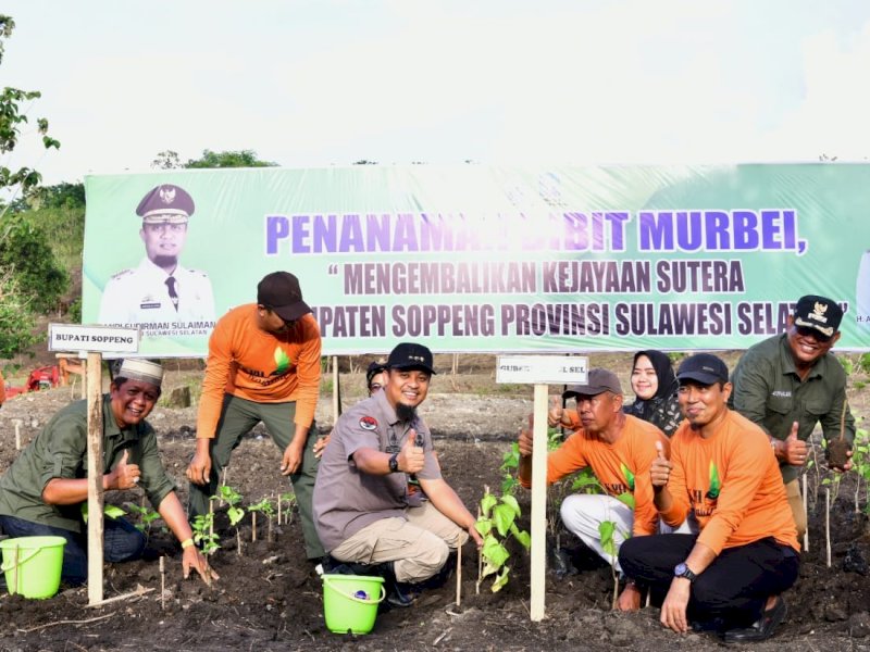 Gubernur Sulawesi Selatan Andi Sudirman Sulaiman secara simbolis melakukan penanaman perdana 1,5 juta bibit murbei di Dusun Medde, Desa Patampanua, Kabupaten Soppeng, Senin (20/3/2023). @Jejakfakta/dok. Humas Pemprov Sulsel