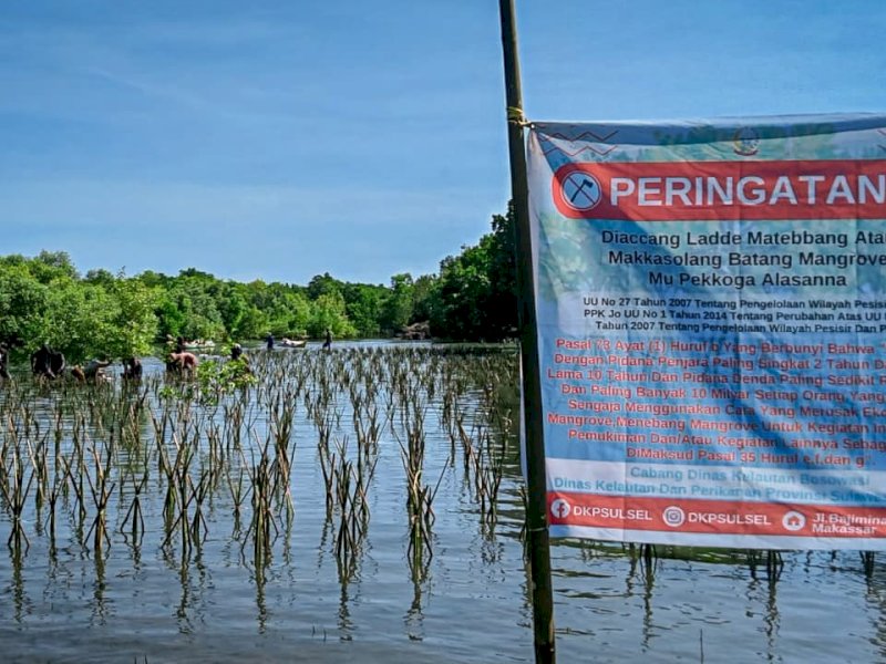 Penanaman pohon bakau sebanyak 36 ribu batang di wilayah pesisir di Desa Polewali, Kecamatan Kajuara, Bone, Senin (20/3/2023). @Jejakfakta/Ist.