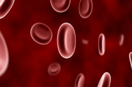 Yang Terjadi di Tubuh Orang yang Berpuasa