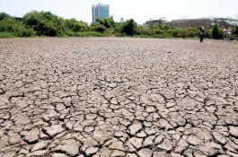 BMKG Makassar Ingatkan Dampak El Nino di Wilayah Pesisir, Waspada Kebakaran
