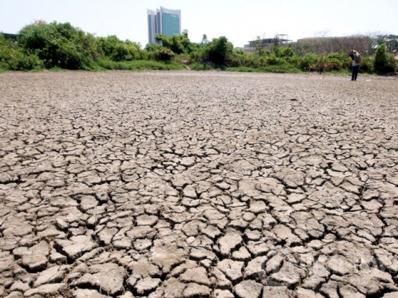 Ilustrasi dampak kekeringan di wilayah pesisir Makassar. @Jejakfakta/dok. Tribun Timur