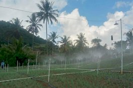 Tekan Biaya Operasional Petani Bawang di Enrekang Hingga 75 Persen Melalui Program Electrifying Agriculture PLN