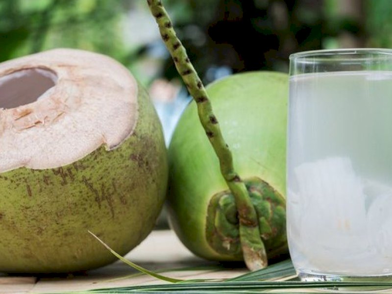 Buah kelapa muda. (Google).