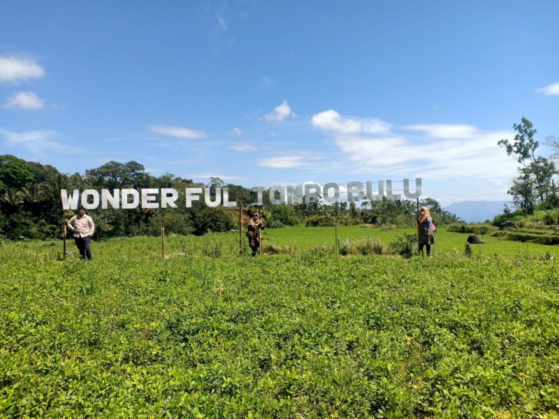 Taman Wisata Lembang di Desa Tompo Bulu, Kecamatan Balocci, Kabupaten Pangkep, Sulawesi Selatan. (ist)
