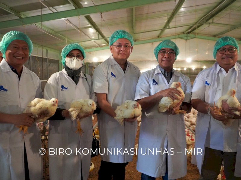 Fakultas Peternakan Universitas Hasanudin (Unhas) panen bersama ayam broiler pada unit kandang modern sistem tertutup atau closed house, di Unhas Kampus Tamalanrea, Makassar, Senin (1/5/23). Hadir Rektor Unhas Prof Jamaluddin Jompa.