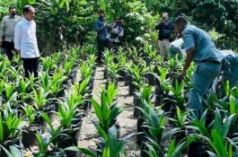 Tiba-tiba Presiden Muncul di SMK, Menteri Basuki Dapat Tugas Perbaiki Kandang Kambing 